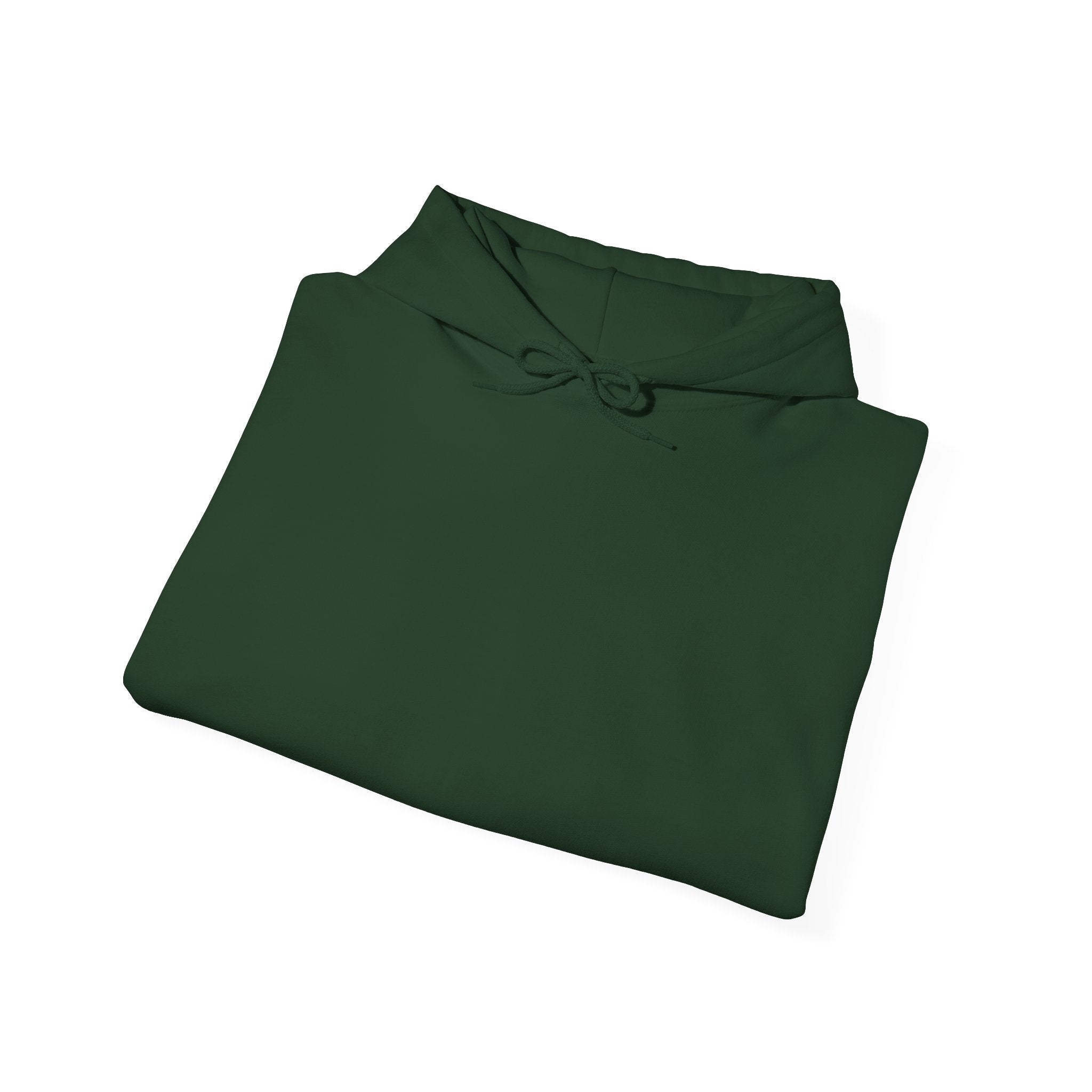 NVISO Hooded Sweatshirt