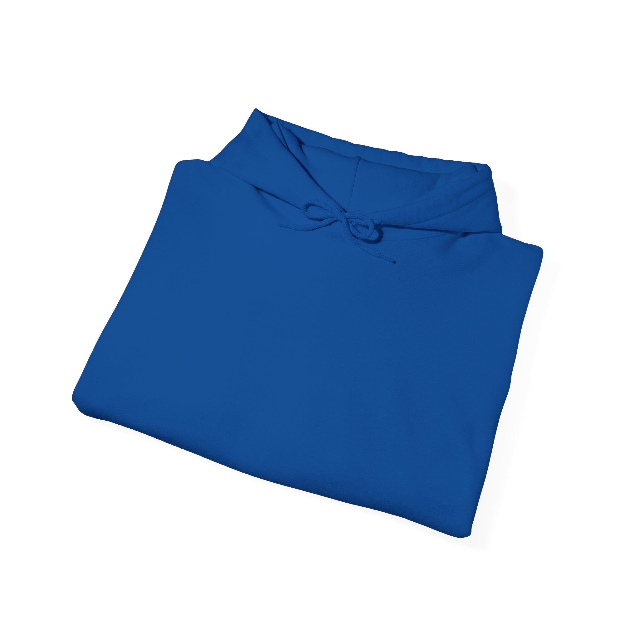 NVISO Hooded Sweatshirt